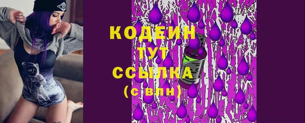 молекула духа Заволжье