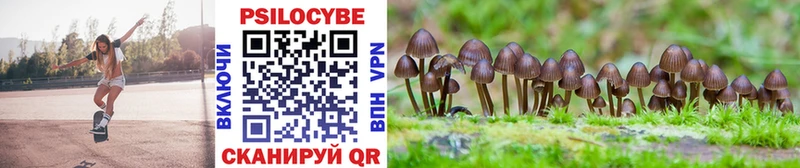 Псилоцибиновые грибы Cubensis  купить наркотики цена  Краснообск 